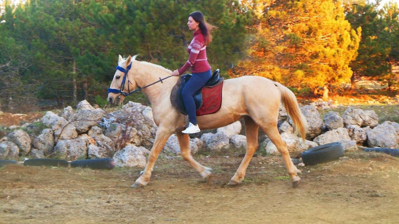 Верховая езда для настоящих мужчин: отдых с пользой