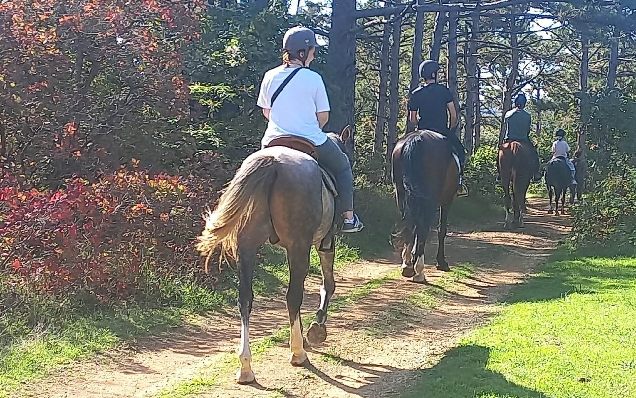 Конные прогулки в Севастополе: кадры природной свободы