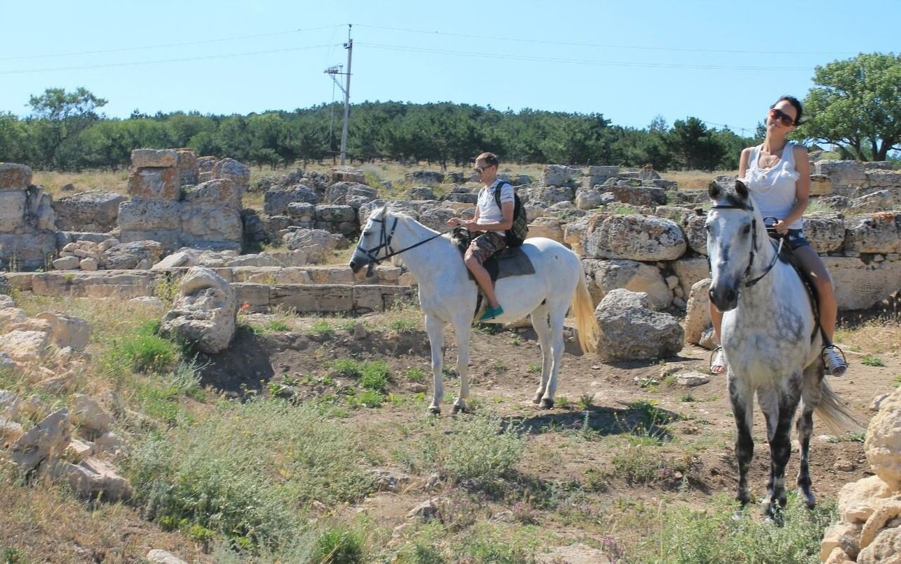 Подарочный сертификат на катание на лошадях — удиви по‑настоящему
